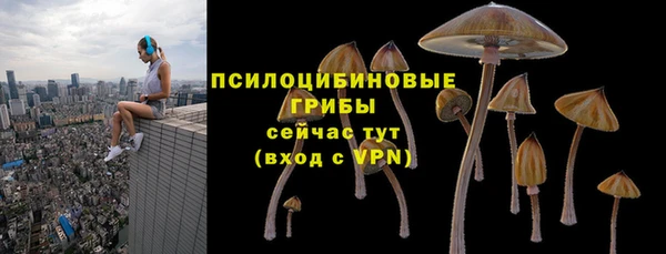 соль ск Алексеевка