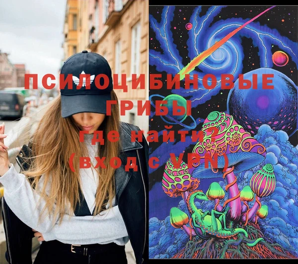 соль ск Алексеевка