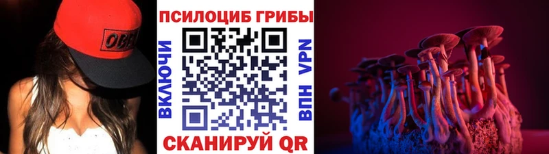 KRAKEN рабочий сайт  Порхов  Псилоцибиновые грибы MAGIC MUSHROOMS 